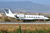 ©Salvador de la Rubia ( Marbella Spotters ). Click to see full size photo ©Salvador de la Rubia ( Marbella Spotters ). Click to see full size photo