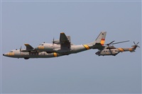 JF Alemn-GranCanariaSpotters. Click to see full size photo