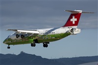 Bartolom Fernndez - Gran Canaria Spotters. Click to see full size photo