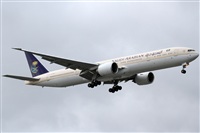 Rubn Gil - Noisy Spotters. Click to see full size photo