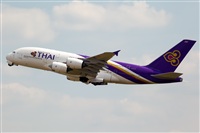 Javier de la Cruz - CANARY ISLANDS SPOTTING. Click to see full size photo
