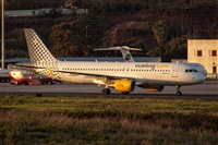 Javier de la Cruz - CANARY ISLANDS SPOTTING. Click to see full size photo