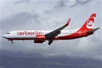 ©Alfonso Solís - Asociación Canary Islands Spotting. Click to see full size photo ©Alfonso Solís - Asociación Canary Islands Spotting. Click to see full size photo