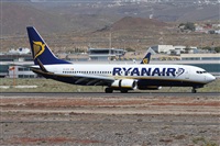 Alfonso Sols - Asociacin Canary Islands Spotting. Click to see full size photo