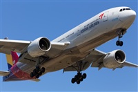 Miguel Alia - Noisy Spotters. Click to see full size photo
