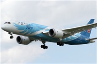 Rubn Gil - Noisy Spotters. Click to see full size photo