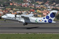 Alfonso Sols - Asociacin Canary Islands Spotting. Click to see full size photo