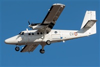 Bartolom Fernndez - Gran Canaria Spotters. Click to see full size photo