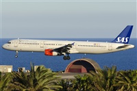 Paco Muoz Arencibia - Gran Canaria Spotters. Click to see full size photo