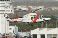 ©Alfonso Solís - Asociación Canary Islands Spotting. Click to see full size photo ©Alfonso Solís - Asociación Canary Islands Spotting. Click to see full size photo