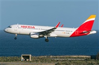 ©Adolfo Bento - Gran Canaria Spotters. Click to see full size photo ©Adolfo Bento - Gran Canaria Spotters. Click to see full size photo