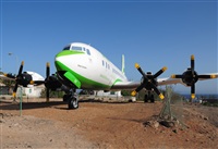 ©Alejandro H.L - Gran Canaria Spotters. Click to see full size photo ©Alejandro H.L - Gran Canaria Spotters. Click to see full size photo