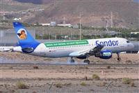 Miguel A. gueda Rguez.  (CANARY ISLANDS SPOTTING). Click to see full size photo