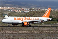 ©Alfonso Solís - Asociación Canary Islands Spotting. Click to see full size photo ©Alfonso Solís - Asociación Canary Islands Spotting. Click to see full size photo
