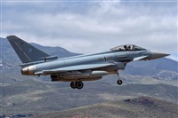 Bartolom Fernndez - Gran Canaria Spotters. Click to see full size photo