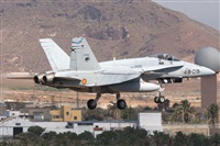 ©Adolfo Bento - Gran Canaria Spotters. Click to see full size photo ©Adolfo Bento - Gran Canaria Spotters. Click to see full size photo