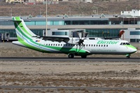 ©Alfonso Solís - Asociación Canary Islands Spotting. Click to see full size photo ©Alfonso Solís - Asociación Canary Islands Spotting. Click to see full size photo