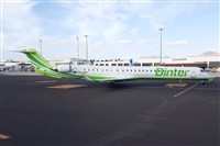 ©Adrián Alonso Lemes - Lanzarote Spotters. Click to see full size photo ©Adrián Alonso Lemes - Lanzarote Spotters. Click to see full size photo