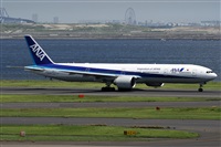 Alfonso Sols - Asociacin Canary Islands Spotting. Haz click para ampliar