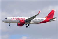 Miguel A. gueda Rguez.  (CANARY ISLANDS SPOTTING). Click to see full size photo