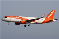 Alfonso Sols - Asociacin Canary Islands Spotting. Click to see full size photo