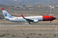 Miguel A. gueda Rguez.  (CANARY ISLANDS SPOTTING). Click to see full size photo