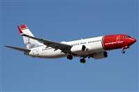 ©Alfonso Solís - Asociación Canary Islands Spotting. Click to see full size photo ©Alfonso Solís - Asociación Canary Islands Spotting. Click to see full size photo
