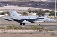 Alfonso Sols - Asociacin Canary Islands Spotting. Haz click para ampliar