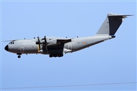 Alfonso Sols - Asociacin Canary Islands Spotting. Haz click para ampliar