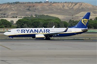 Miguel A. gueda Rguez.  (CANARY ISLANDS SPOTTING). Haz click para ampliar