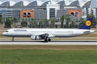 Alfonso Sols - Asociacin Canary Islands Spotting. Click to see full size photo