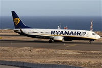 Alfonso Sols - Asociacin Canary Islands Spotting. Click to see full size photo