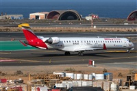 ©Adolfo Bento - Gran Canaria Spotters. Click to see full size photo ©Adolfo Bento - Gran Canaria Spotters. Click to see full size photo