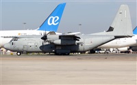Alejandro Gutirrez Martn. Click to see full size photo
