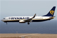 Alfonso Sols - Asociacin Canary Islands Spotting. Click to see full size photo