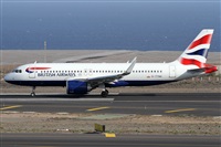 ©Alfonso Solís - Asociación Canary Islands Spotting. Click to see full size photo ©Alfonso Solís - Asociación Canary Islands Spotting. Click to see full size photo