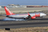 Miguel A. gueda Rguez.  (CANARY ISLANDS SPOTTING). Click to see full size photo