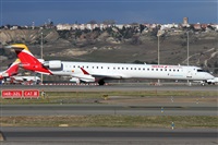 ©Alfonso Solís - Asociación Canary Islands Spotting. Click to see full size photo ©Alfonso Solís - Asociación Canary Islands Spotting. Click to see full size photo