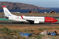 ©Alfonso Solís - Asociación Canary Islands Spotting. Click to see full size photo ©Alfonso Solís - Asociación Canary Islands Spotting. Click to see full size photo