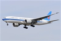 Miguel A. gueda Rguez.  (CANARY ISLANDS SPOTTING). Click to see full size photo