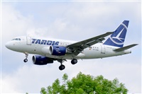 Miguel A. gueda Rguez.  (CANARY ISLANDS SPOTTING). Click to see full size photo
