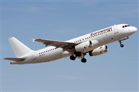 Alfonso Sols - Asociacin Canary Islands Spotting. Click to see full size photo