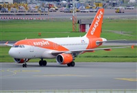 Miguel A. gueda Rguez.  (CANARY ISLANDS SPOTTING). Click to see full size photo