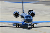 Miguel A. gueda Rguez.  (CANARY ISLANDS SPOTTING). Click to see full size photo