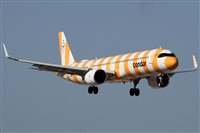 ©Alfonso Solís - Asociación Canary Islands Spotting. Click to see full size photo ©Alfonso Solís - Asociación Canary Islands Spotting. Click to see full size photo