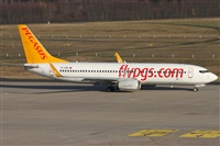 Daniel Schwinn. Click to see full size photo