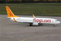 Daniel Schwinn. Click to see full size photo