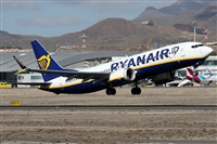 Alfonso Sols - Asociacin Canary Islands Spotting. Click to see full size photo