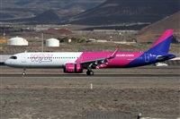 �Alfonso Sol�s - Asociaci�n Canary Islands Spotting. Click to see full size photo