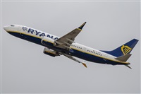 �Vicente Aguil�. Click to see full size photo